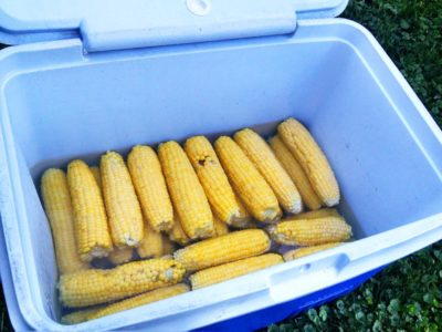 corn but cooler