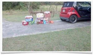 smart car hot dog cart