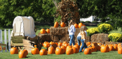 selling food fall events