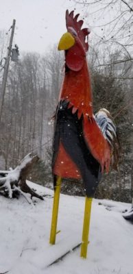 giant rooster