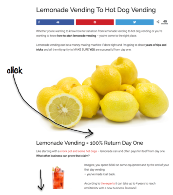 how to start a lemonade vending business