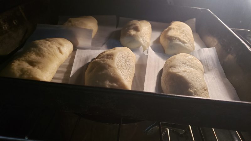 proofing dough