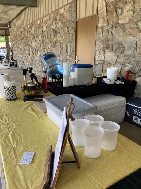 lemonade vendor table